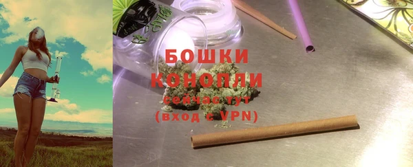стафф Осташков