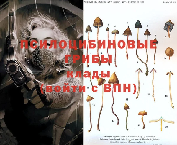 мдпв Абинск