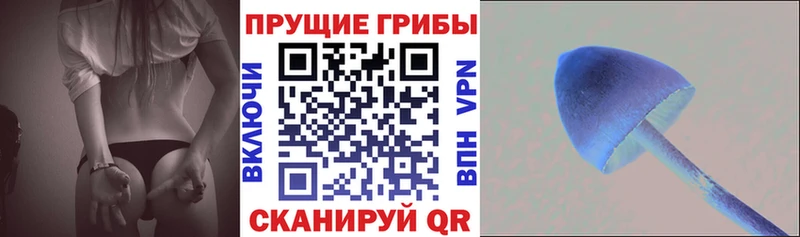 Галлюциногенные грибы ЛСД  Абакан 