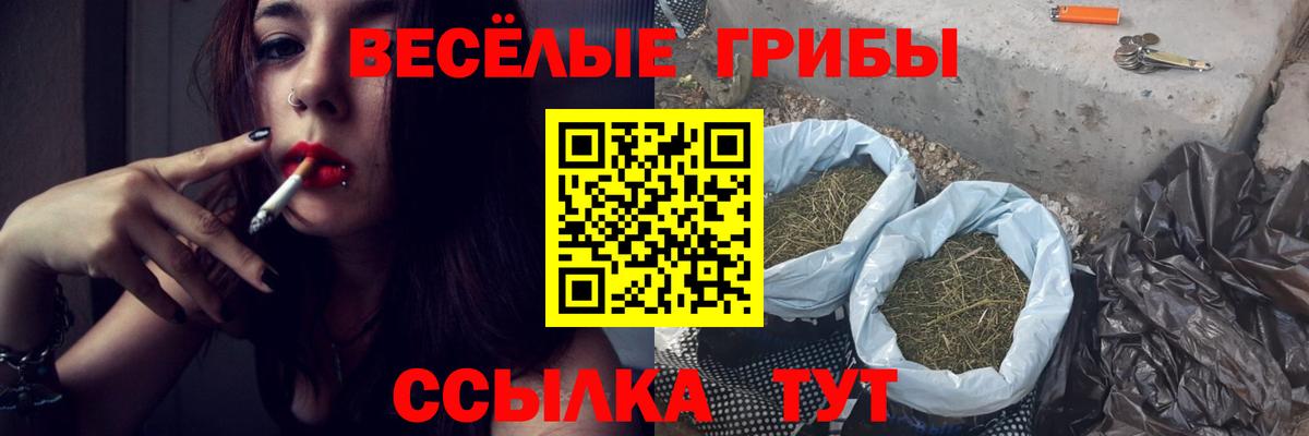 где продают   Вход с VPN  Абакан  Галлюциногенные грибы Magic Shrooms 